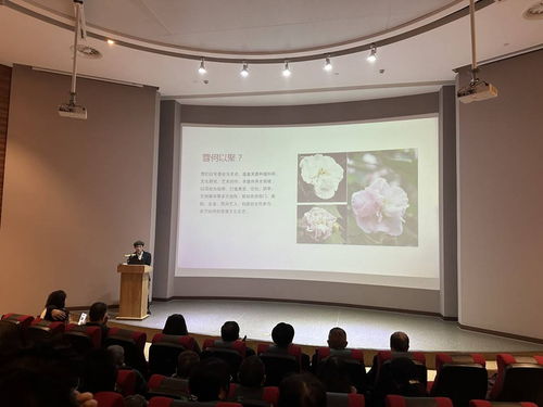 首屆芙蓉文化學(xué)術(shù)交流活動(dòng)在蓉城隆重啟幕，共繪文化繁榮新圖景