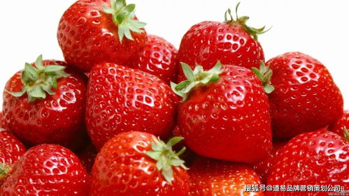 食品品牌營銷策劃公司 以消費者洞察為核心，驅(qū)動品牌價值增長